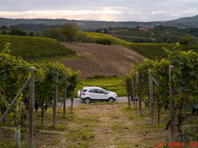 Ford Ecosport 008