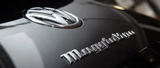 VW maggiolino 2