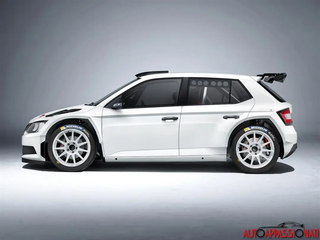 Skoda Fabia R5 002