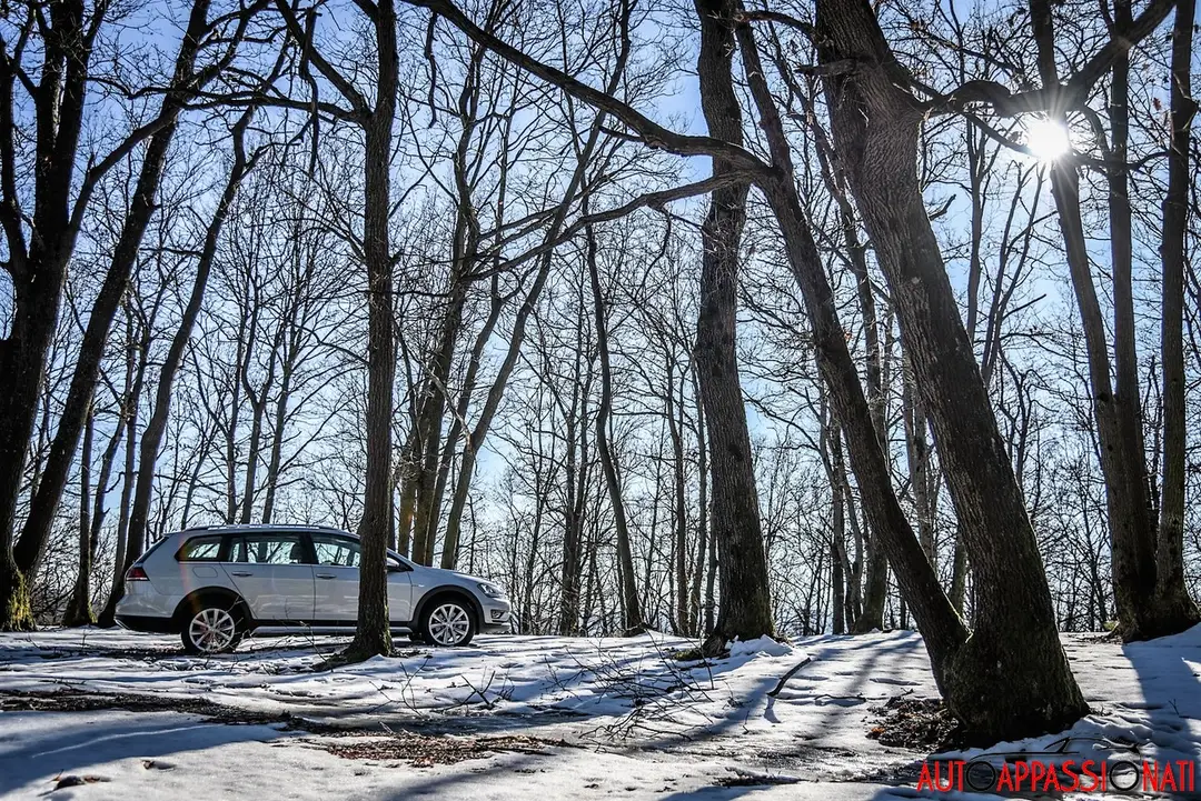 Golf alltrack 20