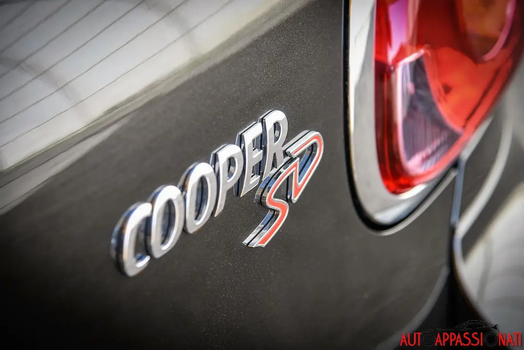 Mini Paceman 05