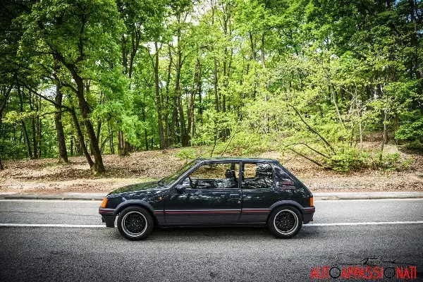 Peugeot205GTI int3