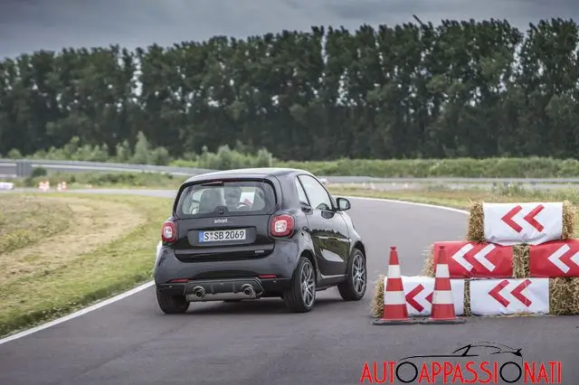 smart 03