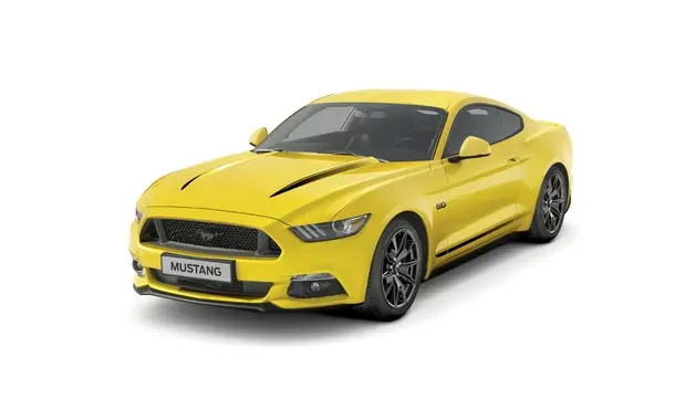 Mustang Black Shadow