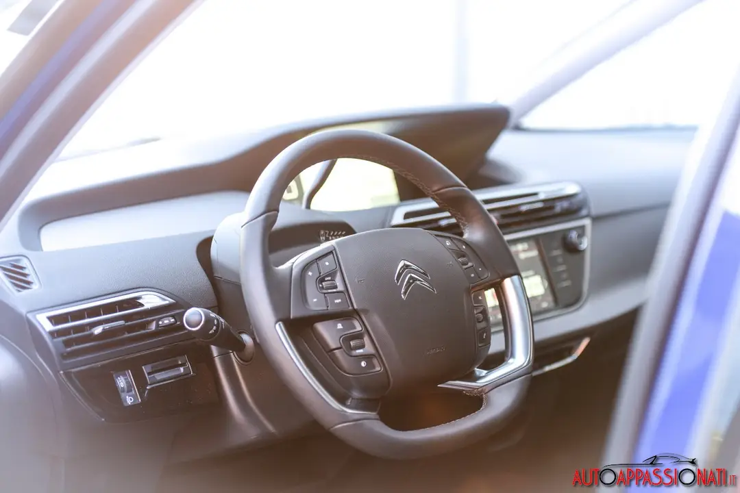 Citroen Picasso 09