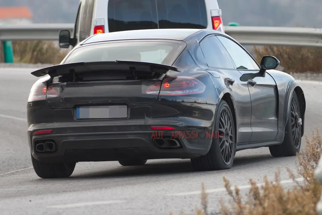 Porsche Pajun 04