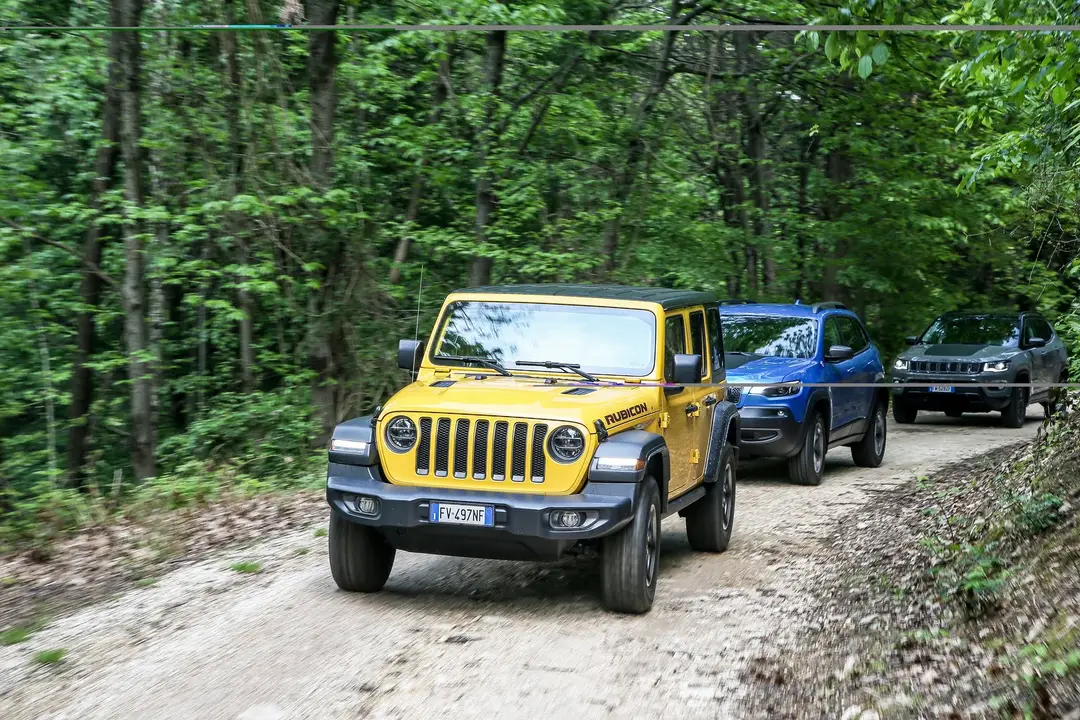 gamma jeep 2019