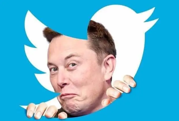 elon musk twitter