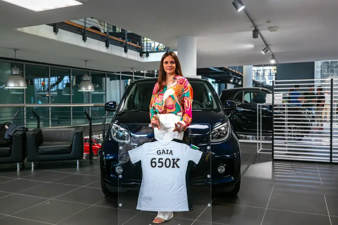 merbag smart fortwo