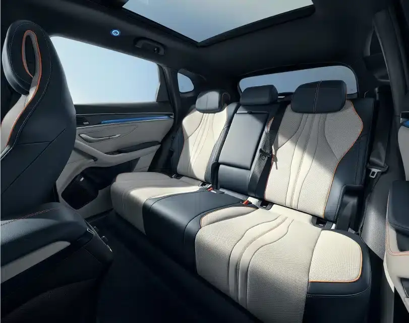 BYD Sedili posteriori