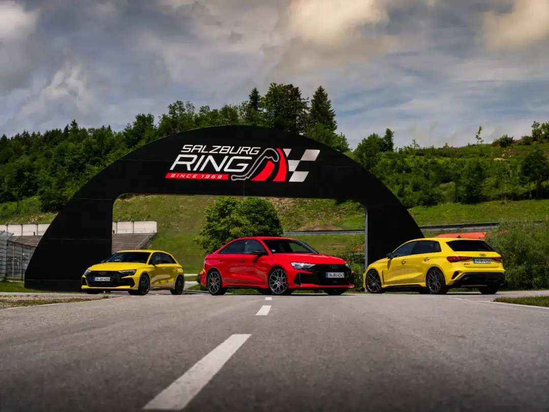 audi gamma rs3