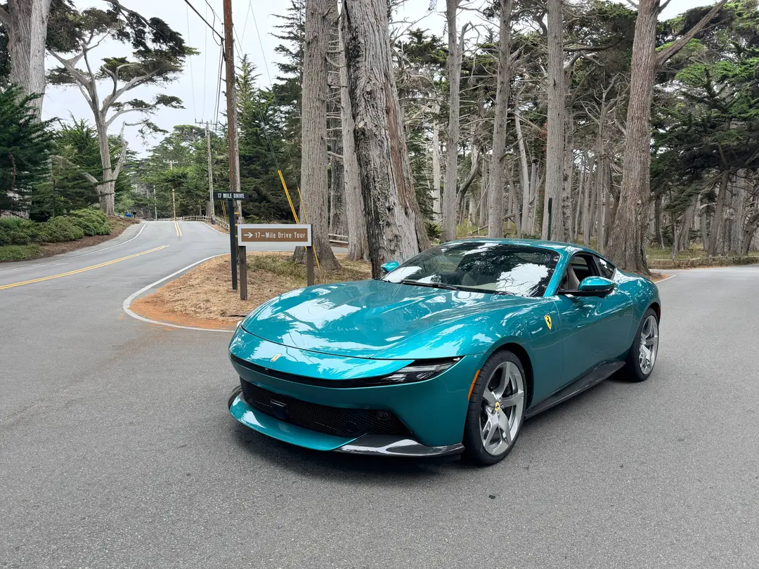 Ferrari Amalfi frontale bosco