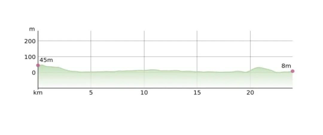 Perfil del Trofeo Ses Salines 2026