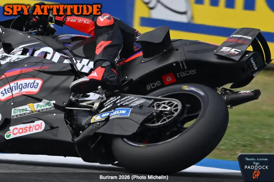 Inverted Batwing element mounted under the swingarm