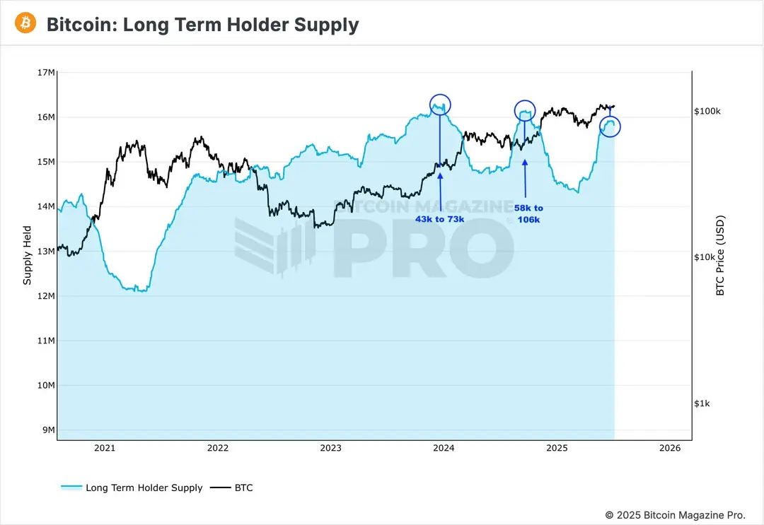 Bitcoin LTH's