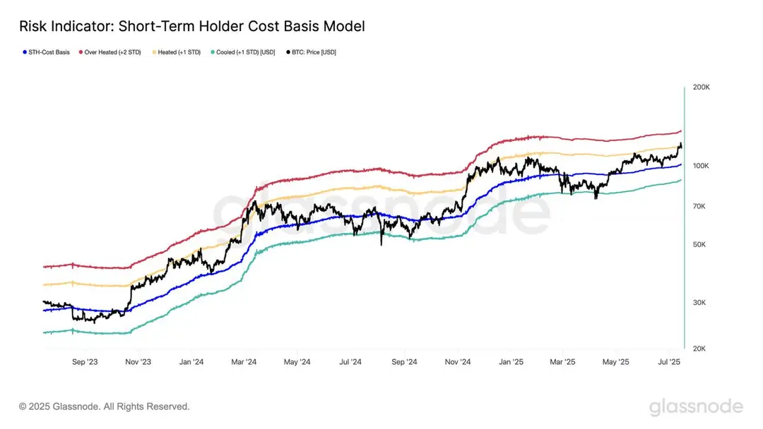 Bitcoin Short Term Holder