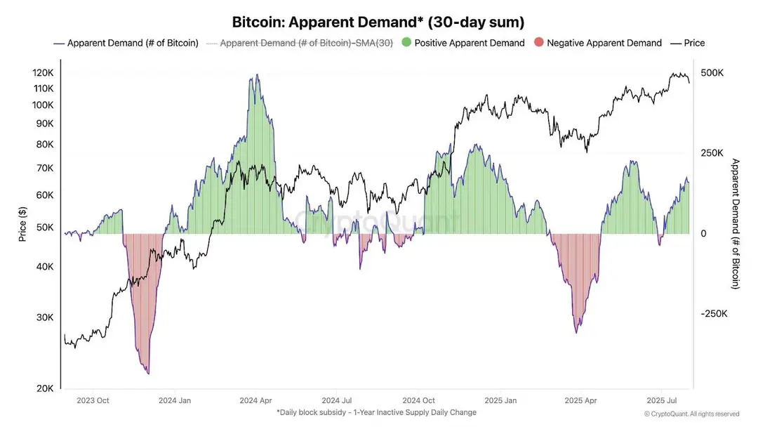 Bitcoin vraag 30 dagen - Bron: CryptoQuant