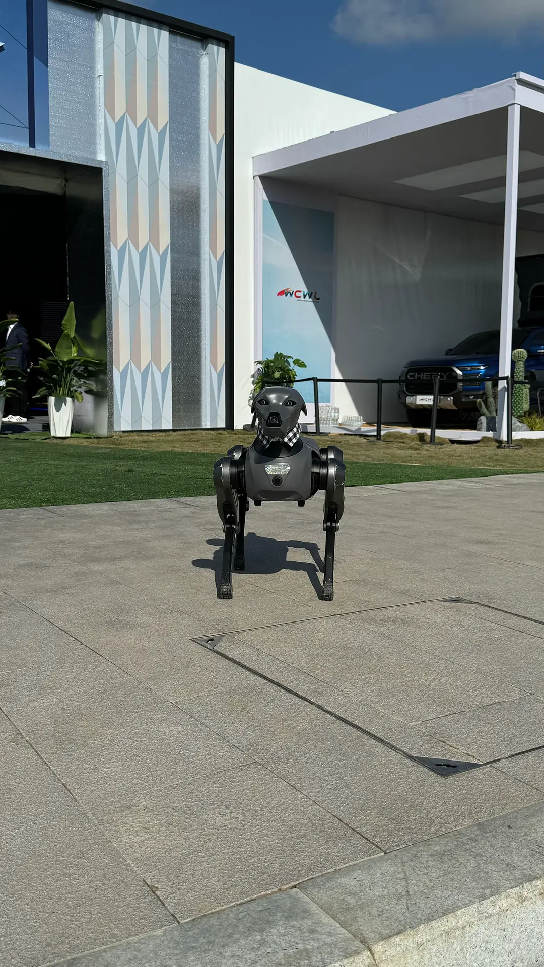 argos robothond