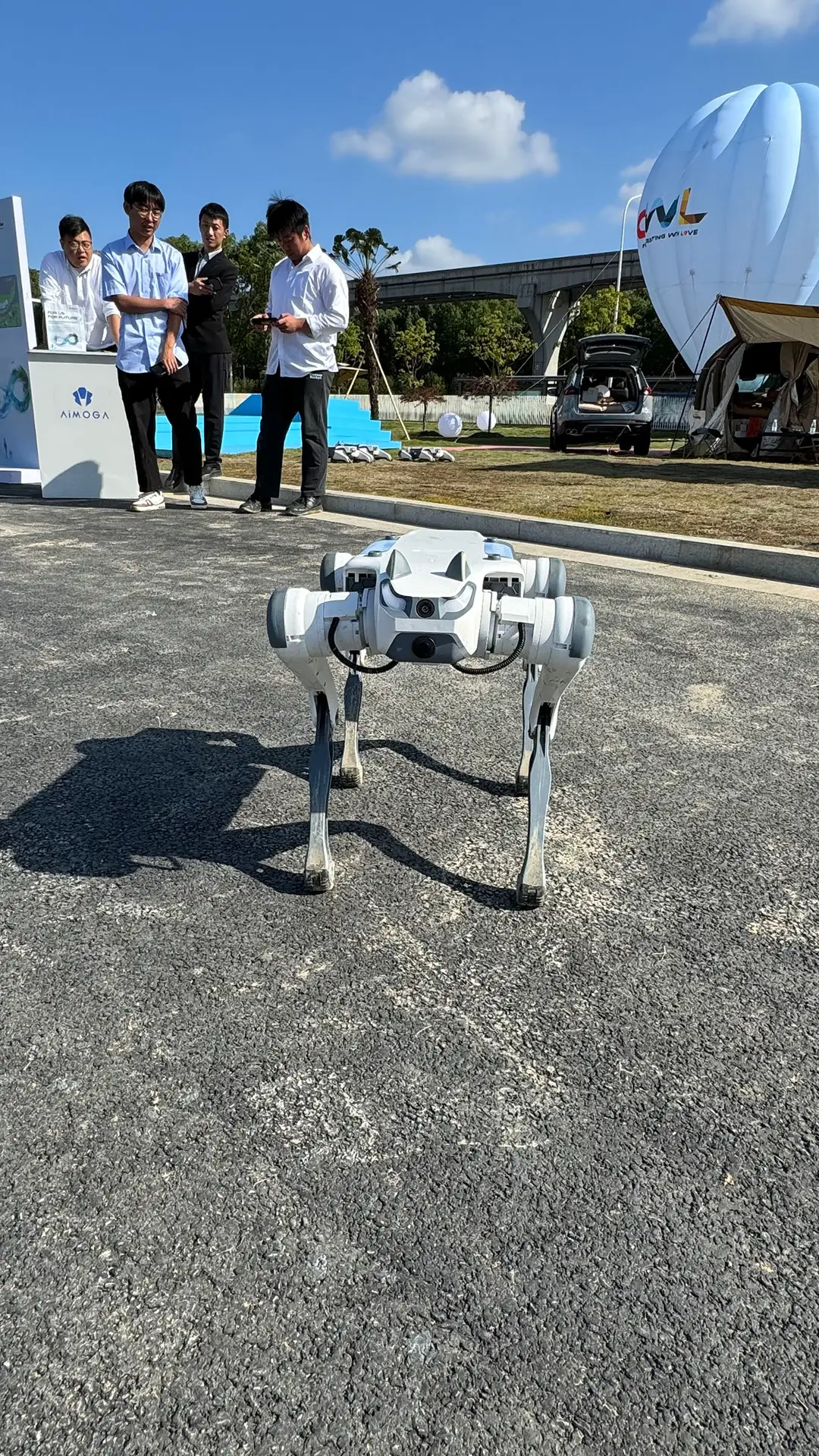 robot cat