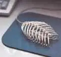 1134808820computer-virus.jpg
