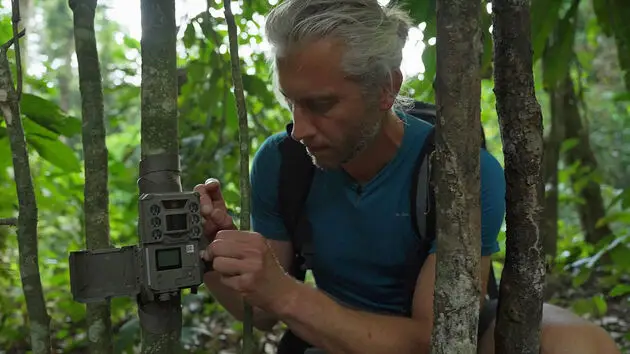 ai enabled camera trap