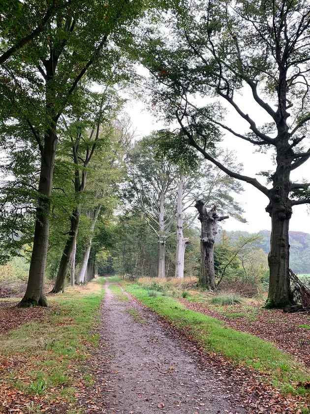 buiten wandelen 1