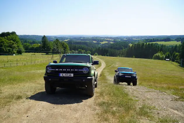 fords brocos