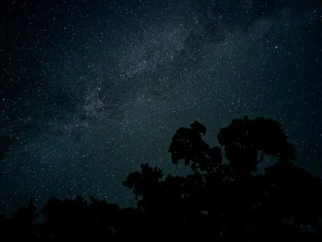 <em>Night Sight<\/em><em><\/em>
