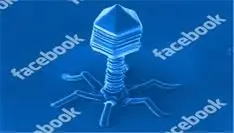 waarschuwing-facebook-wordt-geteisterd-d.jpg