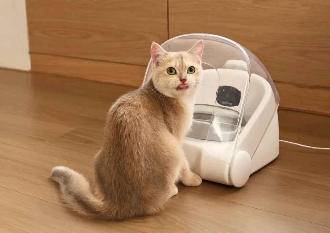 Cheerble Pet Feeder Match G1