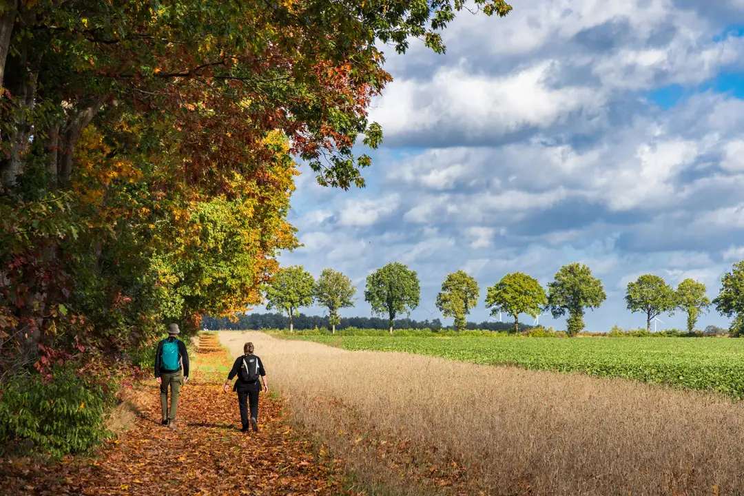 wandelen in nederland
