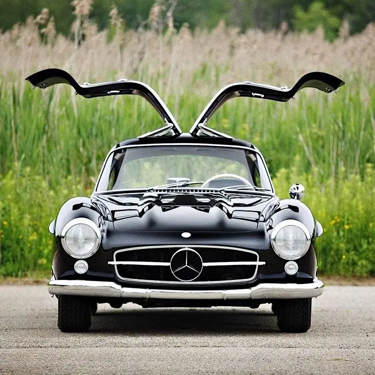 204302435 1763569383838596 8672748649389837197 n