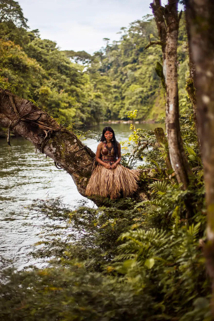 6 amazon rainforest