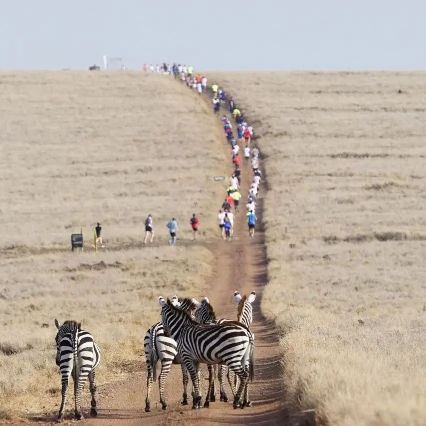 afrika run