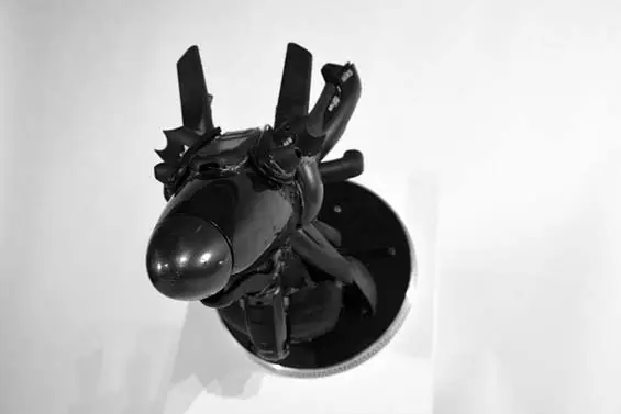 animaux6