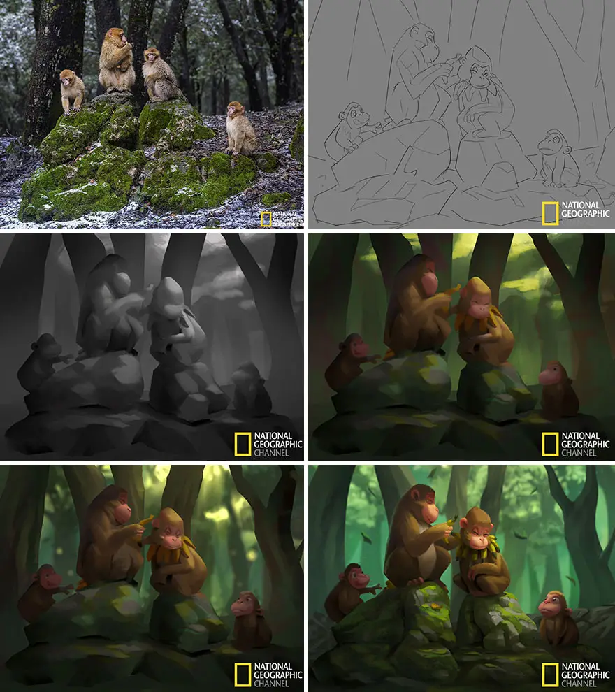 artist transforms national geographic photographs into adorable illustrations 5b3de2cfe5e7f 880
