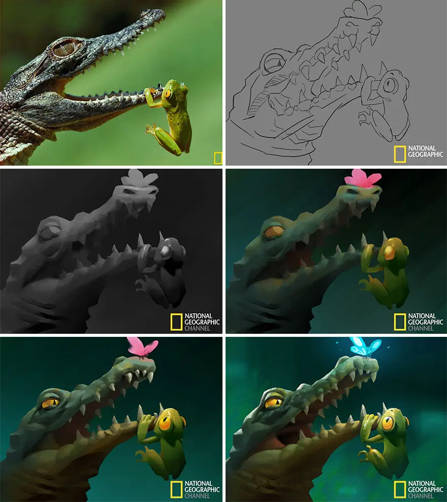 artist transforms national geographic photographs into adorable illustrations 5b3de2d8e6198 880