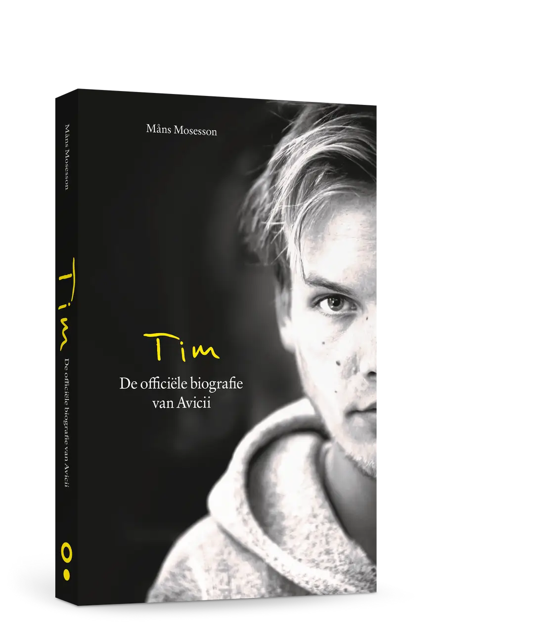 avicii 3d