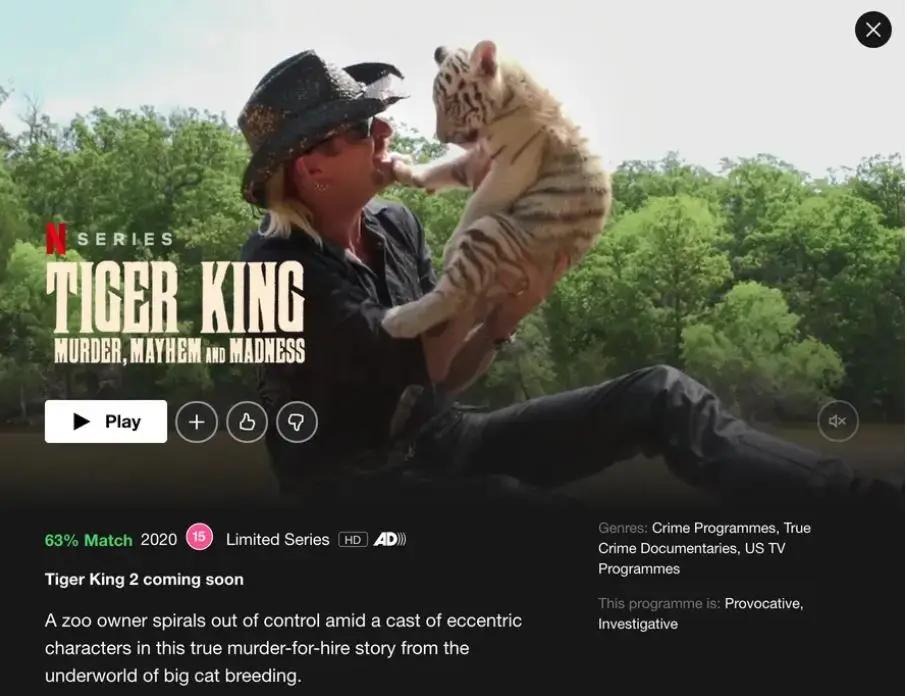 banner tigerking