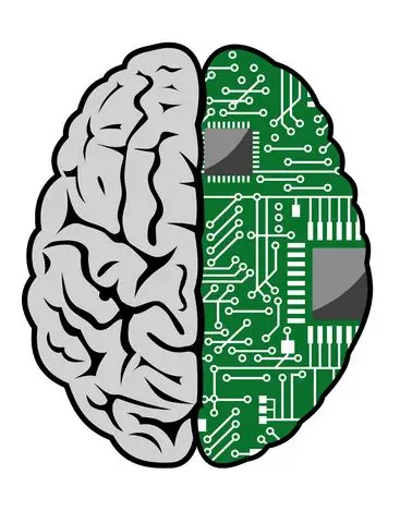 brain 0