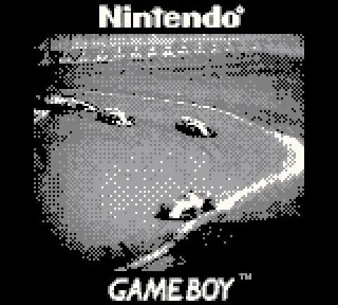 chup anh bang gameboy camera 10