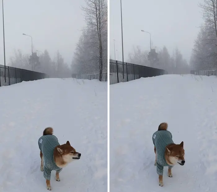 cold in russia 2020 21 5feee88054fe7 700