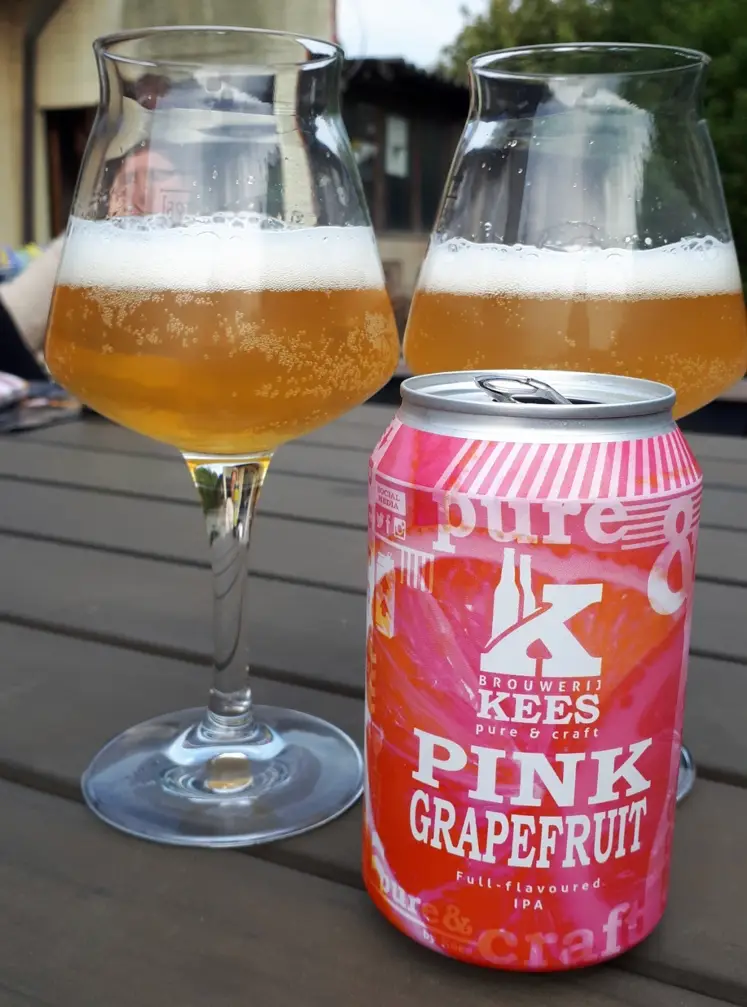 dennis v bier