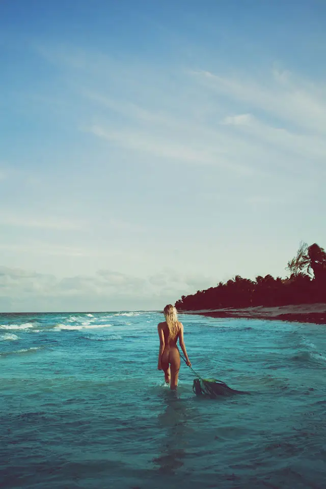 dove shore 1