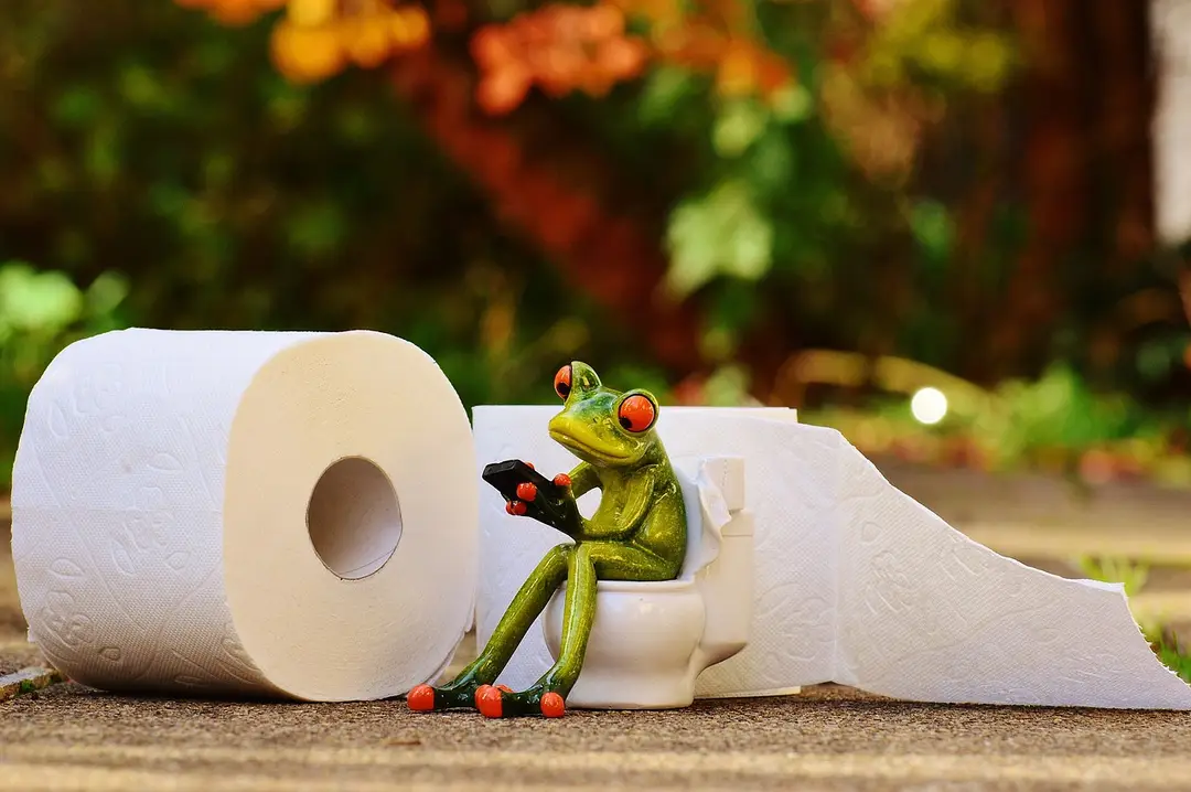 frog 1037252 1280