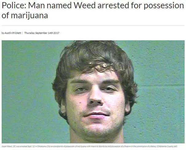 funny names born to do their jobs 8 5bfd21f88099a 605