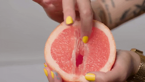 giphy 2 2