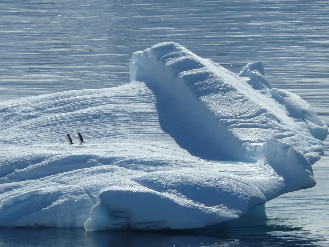 iceberg ge04740ff4 1920