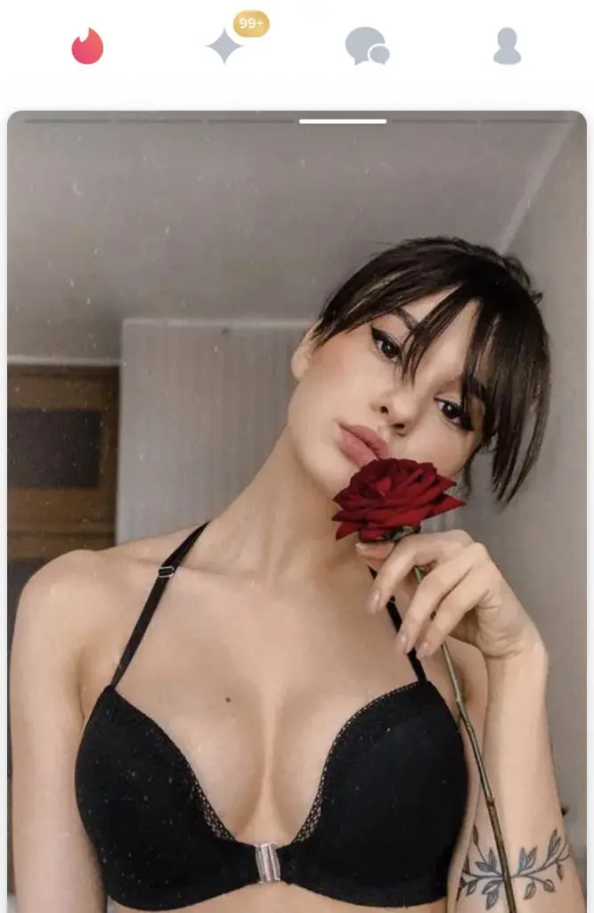 img 0477 667x1024