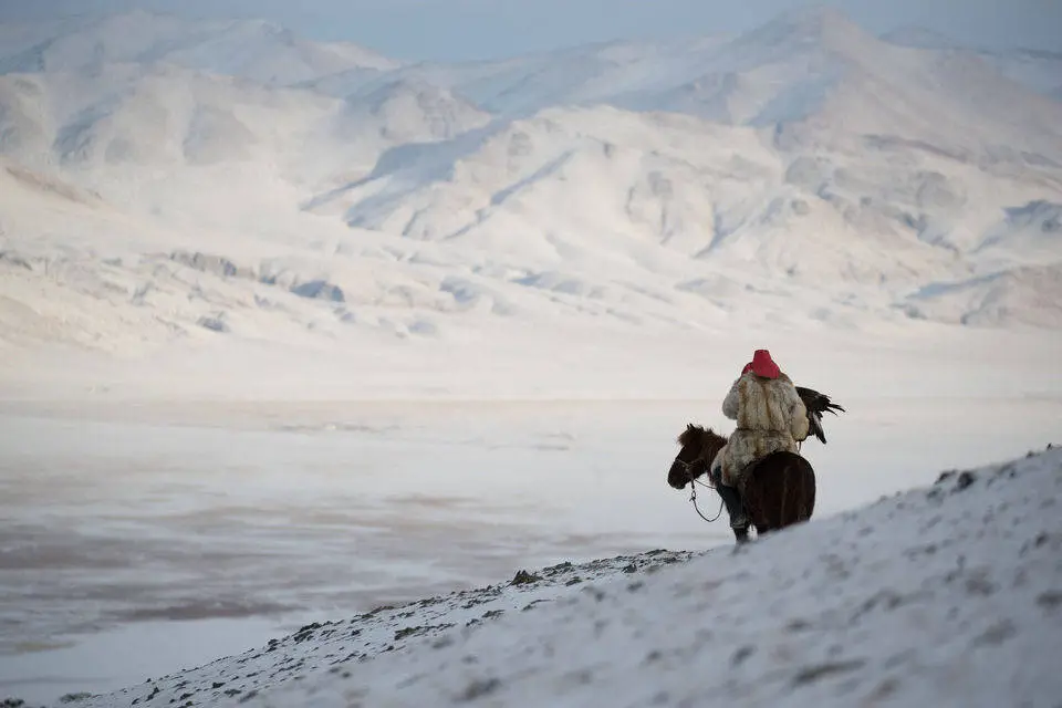 mountain horse hunting 0